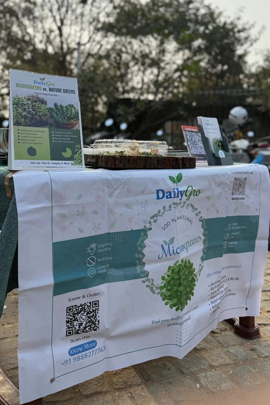 Botanical Garden Stall